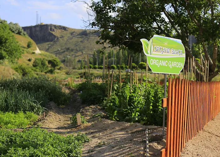 Kapadokya Hill & Hotel